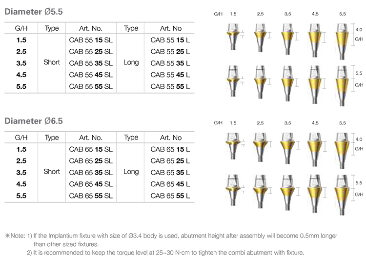 Combi Abutment